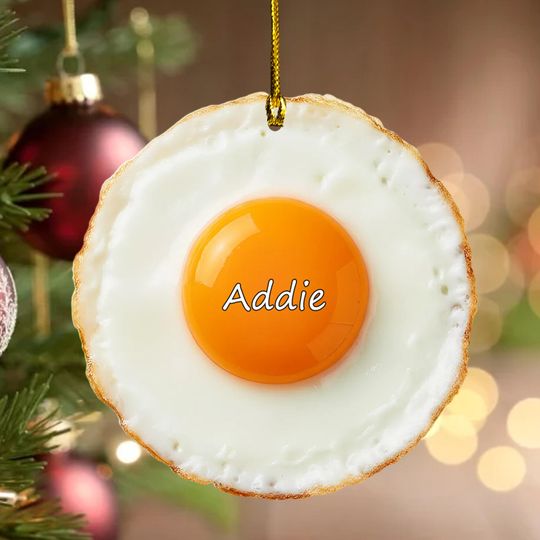 Discover Egg Christmas Ornament, Funny Breakfast Ornament, White Elephant or Secret Santa Gift, Stocking Stuffer for Egg Lovers, Kitchen Decor G5PE09