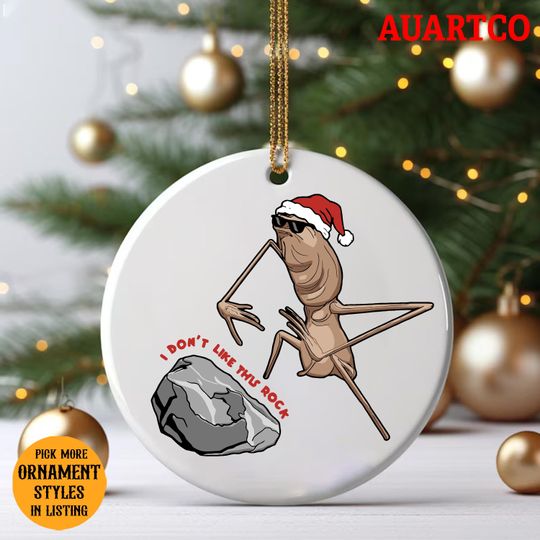 Discover Marcus the Worm Christmas Ornament, I Don't Like This Rock Ornament, Funny Meme Ornament, Funny Holiday Decoration, Internet Humor Gift