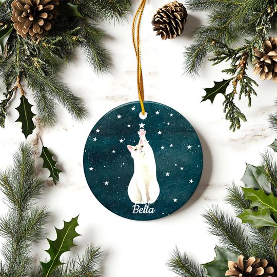 Discover Personalized Christmas ceramic ornament: Cat memorial tree decor, Holiday gifts