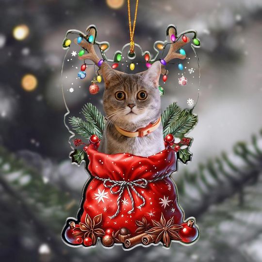 Personalized Cat/Dog Photo Christmas Ornament, Custom Pet Face Acrylic Xmas Ornament, Cute Animals With Reindeer Hat Home Decor Gifts
