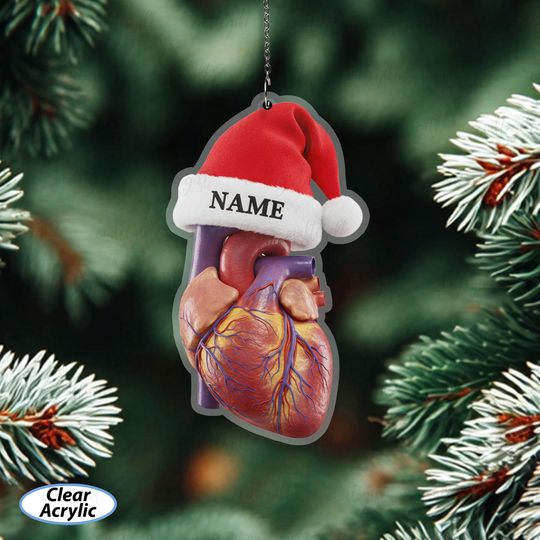 Discover Anatomical Heart Christmas Custom Ornament, Science Lover Tree Ornament, Medical Student Holiday Decor, Funny Healthcare Worker Gift, MYC976