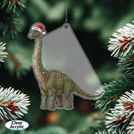 Custom Name Brachiosaurus Ornament For Kids, Unique Dinosaur Xmas Ornament, Festive Brachiosaurus Tree Decor, Funny Dino Lovers Gift, MYB803