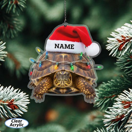 Customized Box Turtle Christmas Ornament, Turtle Ornament For Reptile Owners, Tortoise Ornament With Lights, Gifts For Turtle Lovers, MYB802