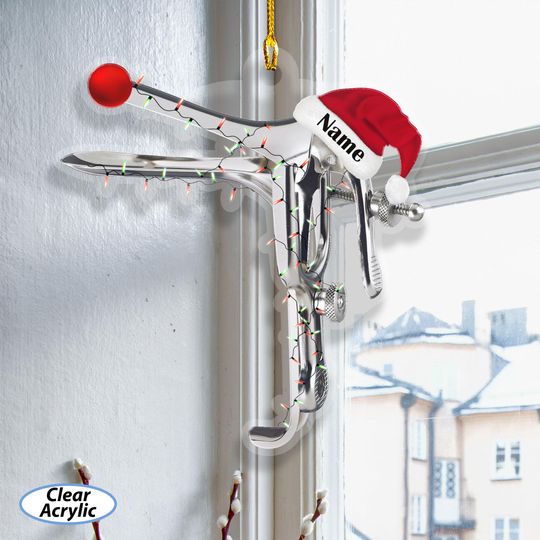 Custom Ob Gyn Nurse Speculum Ornament, Obgyn Doctor Office Christmas Decor, Gynecology Ornament, Women's Healthcare Coworker Gift, MYK319
