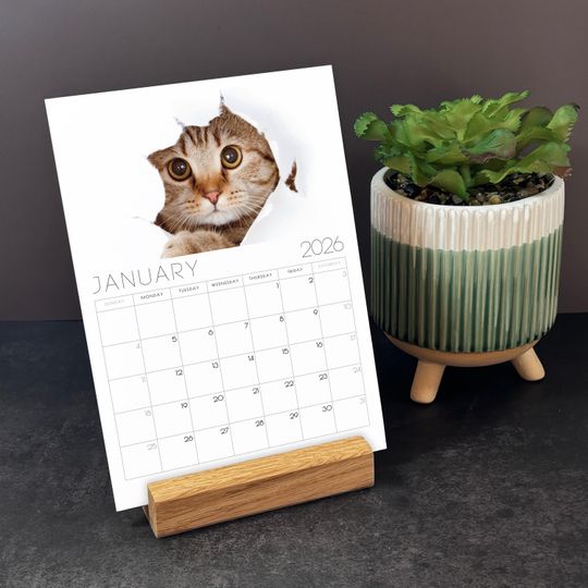 2026 Cat Desk Calendar, Replacement Cards, Cat Lover Gift, Office Desk accessory