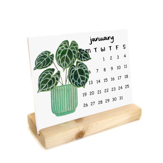 Discover 2026 House Plants Desk Calendar Refill | Watercolor Handmade Desk Calendar with Wooden Stand Watercolor Illustrations
