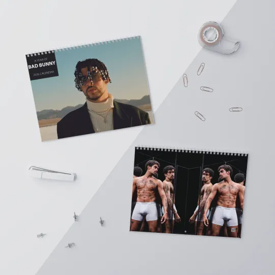 Discover Bad Bunny 2026 Wall Calendar Gift, 12-Month Celebrity Crush Planner for Fans