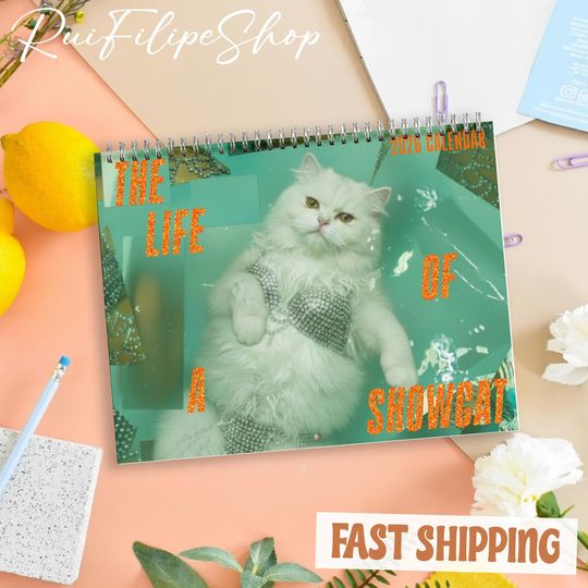 Discover The Life Of A Show Cat 2026 Wall Calendar, Cute Cat Calendar 2026, Cat Mom Calendar, Pretty And Witty Cat Calendar, Christmas Gift
