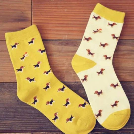 Cute adorable beagle socks Christmas birthday present gift dog puppy secret Santa