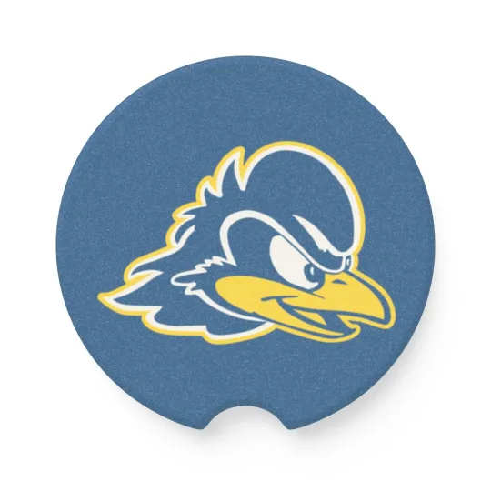 Discover Delaware Fightin’ Blue Hens Car Coaster, NCAA College Football Cup Holder Insert