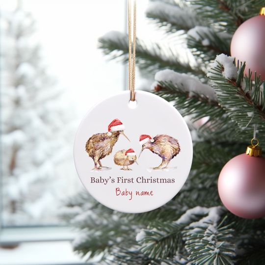 Kiwi Baby's First Christmas Ornament Custom New Family Gift Xmas Tree decoration personalized baby name Ornament Kiwi Birds New Zealand gift