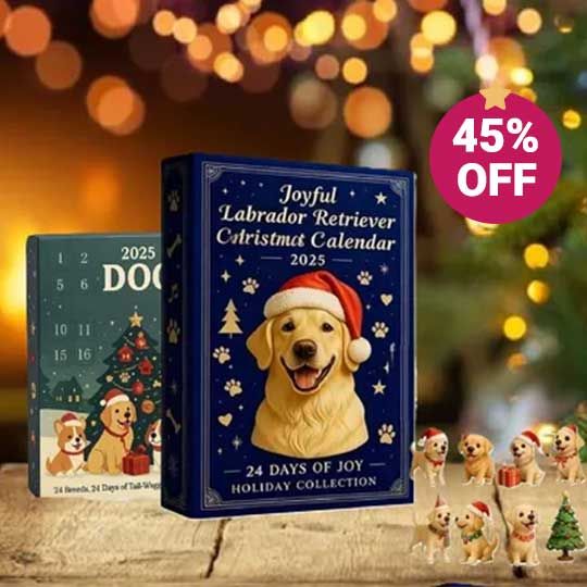 Explore Acrylic Advent Calendar Blind Box