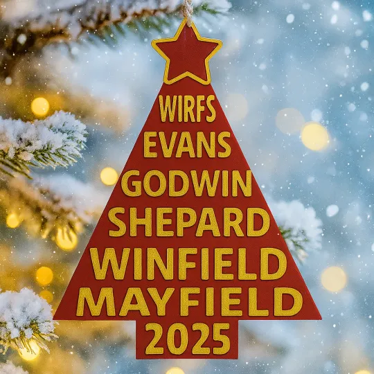 Discover Tampa Bay Football Christmas Tree Ornament football Football Hanging Decorations