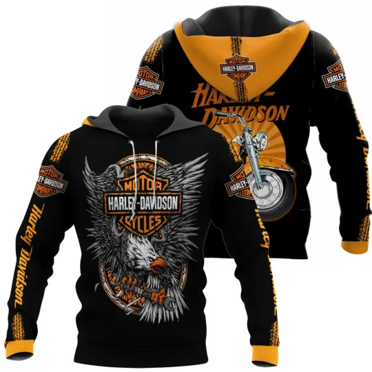 Discover Haarleyy Davidson Skull Pullover Hoodie, Motorcycle Fan Hoodie
