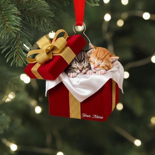 Discover Personalized Cat Ornament, Sleepy Kittens in Gift Box, Christmas Decor