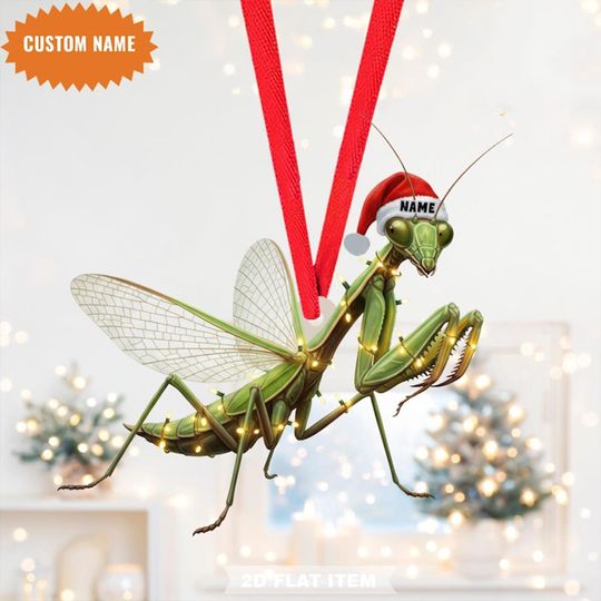 Discover Personalized Praying Mantis Christmas Ornament, Flat 2D Ornament, Custom Praying Mantis Christmas Ornament, Praying Mantis Lover Gift