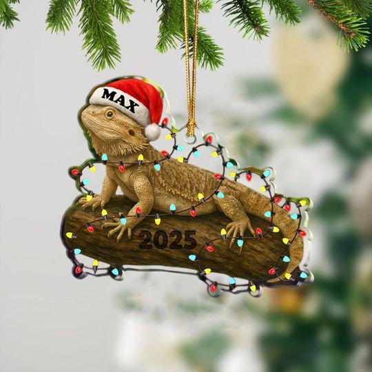 Personalized Sourdough Starter Jar Christmas Ornament, Sourdough Bread Ornament, Sourdough Ornament Gift, Baking Lovers Gift