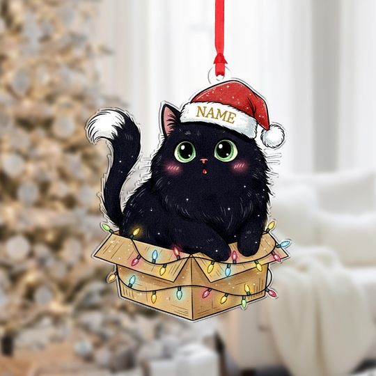 Discover Personalized Black Cat in Box Ornament: Christmas Cat with Lights