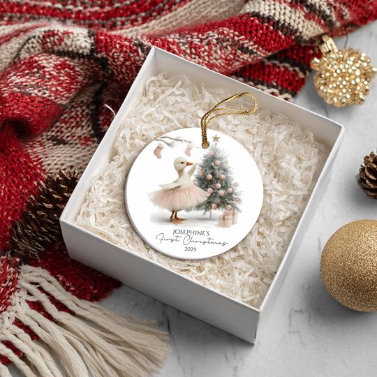 Silly Goose Baby First Ceramic Ornament 2025, Personalized Baby Girl First Christmas Ornament, Gift Baby Family Keepsake, Printed 2 Sides
