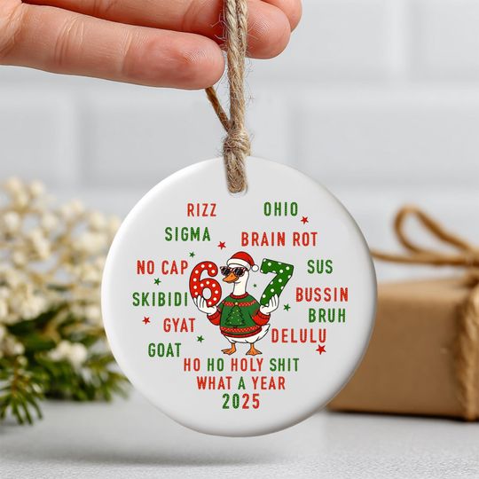 Discover 67 Meme Christmas Goose Ornament, Funny Gen Z Slang Decor, 2025 Meme Stocking Stuffer, Unique Christmas Decoration, 2 Sides