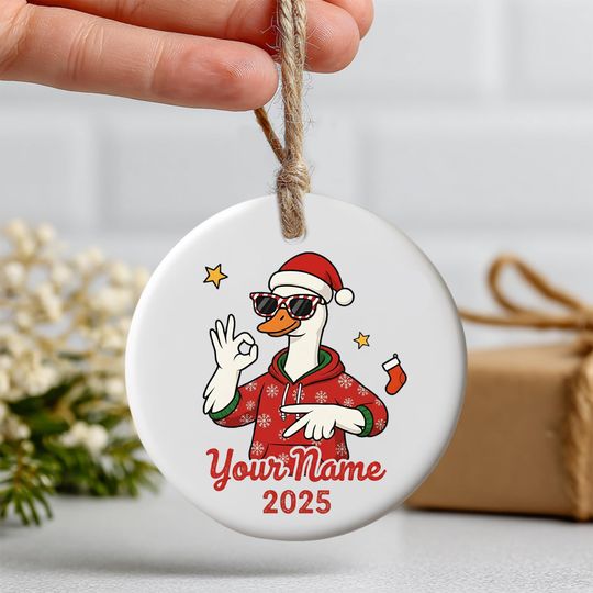 Discover Custom Name 67 Ornament, Funny Gen Z Meme Christmas Decoration with Cartoon Goose & Santa Hat, Trendy Holiday Keepsake 2025, Printed 2 Sides