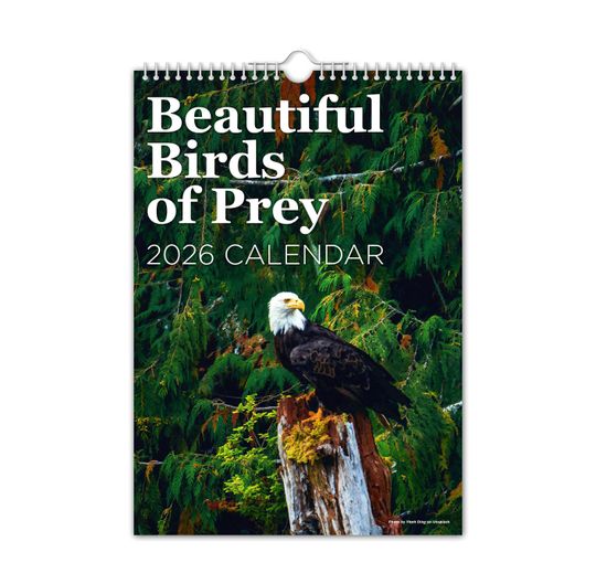 Birds of Prey 2026 Wall Calendar Vertical Wall Calendar Home & Living Office Supplies Wildlife Animal Gift