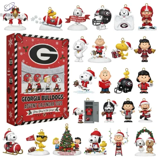 Discover Acrylic Advent Calendar Blind Box Holiday Dog Christmas Countdown 2025