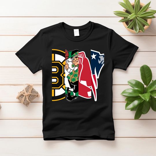 Discover Boston Sports Teams Logo T-Shirt | Die Hard Fan Tee