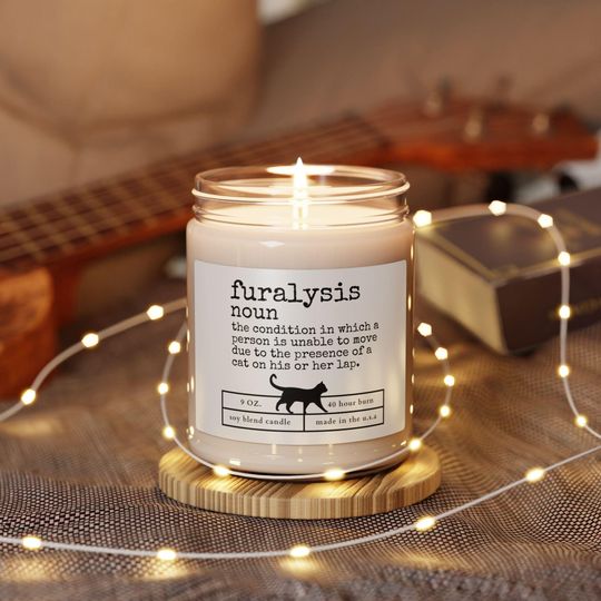 Discover Funny Cat Candle, Cat Rescue & Foster Gift, Cat Owner Humor Scented Candle