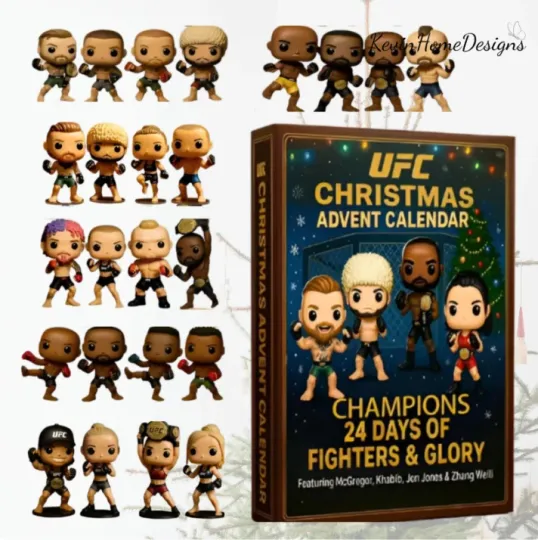 Discover 2D Advent Calendar 2025 Fighter Figures Box, Acrylic Gift For Christmas