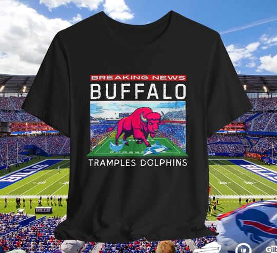 Buffalo Bills vs Miami Dolphins Rivalry T-Shirt, Football Rivalry Tee, Bills Dolphins Shirt, Josh Allen Jersey, Shakir Dawkins