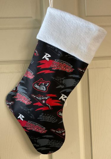 Discover Flying Squirrels Christmas Stocking