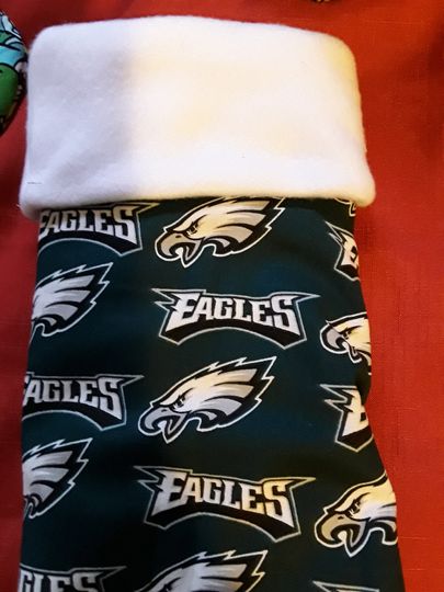 Discover Eagles stocking Fast Standard