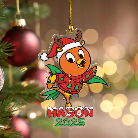 Discover Cute Bird Orange Ornament, Personalized Family Ornament, Epcot Flower And Garden Festival Gift, Orange Bird Magic Kingdom Keepsake NGVH10