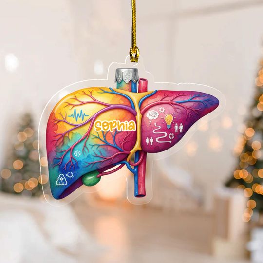 Discover Liver Ornament, Personalized Liver Christmas Ornament, Liver Donor, Transplant Anniversary Gift, Liver Transplant Keepsake,Nurse Gift G5QL13