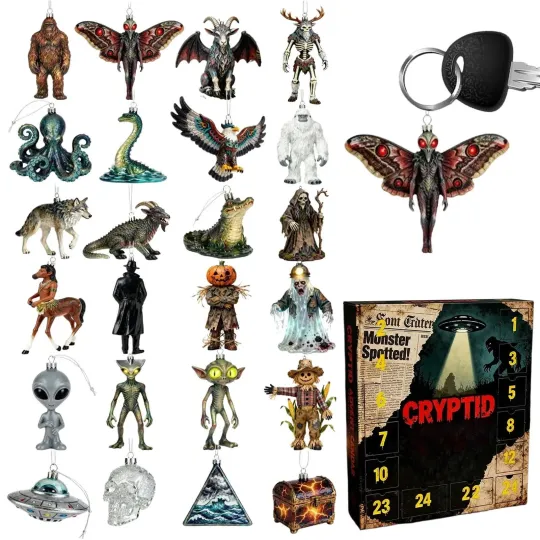 Discover The Mysterious Arrival Calendar of 2025 Christmas Countdown 2d Acrylic Ornament