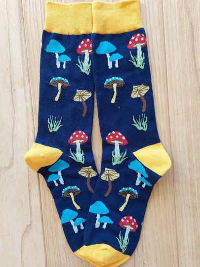 Discover Mushroom. Toadstool. Fungi socks. Fly agaric.