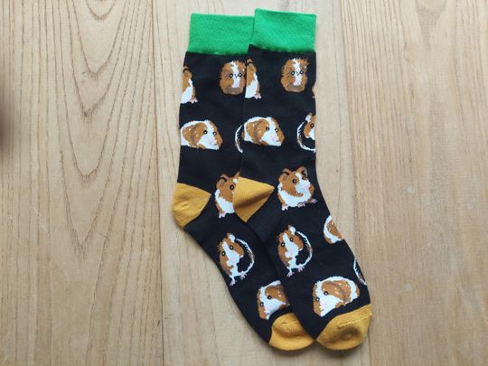 Discover Guinea Pig Socks