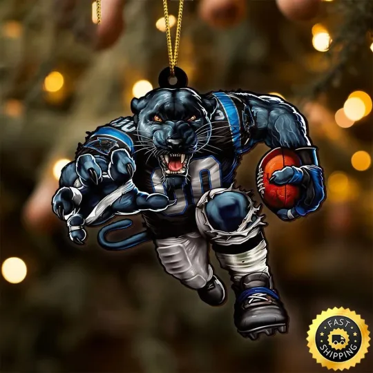 Discover Personalized Carolina Team Pantherss Sport Ornament, Gifts For Fans