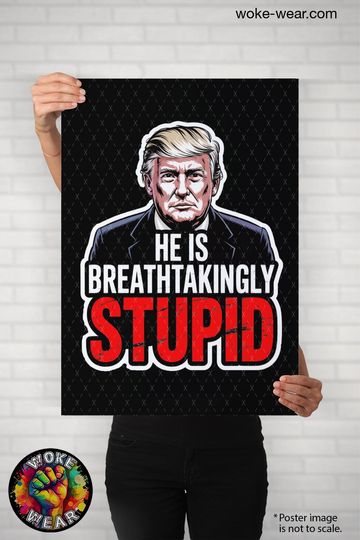 Discover Trump Breathtakingly Stupid Protest Poster