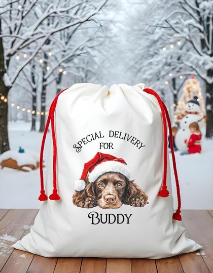 Discover Dog Santa Sack, Christmas Present Sack, Personalised Stocking, Father Christmas Sack, Santa Present Sack, Lots of Different Breeds Available