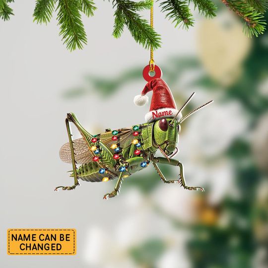 Discover Personalized Grasshopper And Hat Light Christmas Ornament, Grasshopper Christmas Ornament Decor, Gift For Animal Lovers