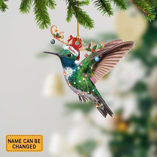 Discover Hummingbird Christmas Ornament, Personalized Xmas Gift For Hummingbird Lovers, Holiday Tree Decor for Nature & Garden Lovers