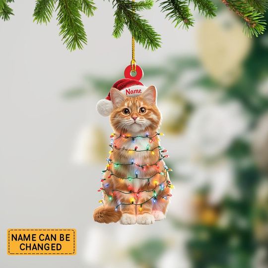 Discover Personalized Orange Cat Christmas Ornament, Cute Orange Cat Hanging Decor, Cat Lovers Xmas Gift, Holiday Pet Hanging Ornament ID-1104-UVVW