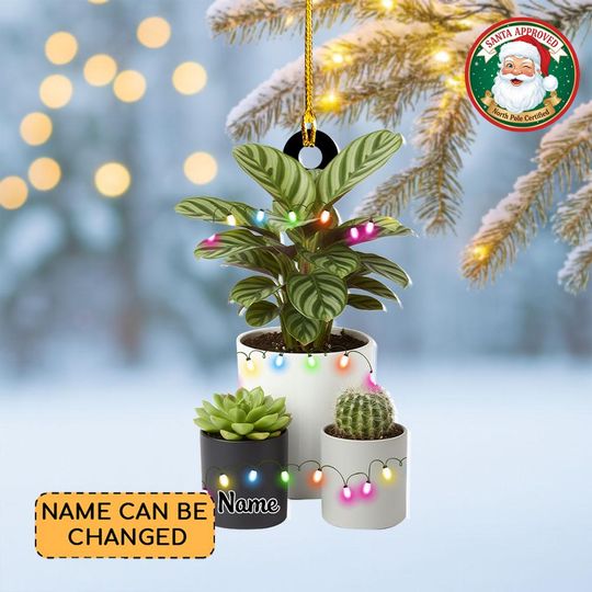 Discover Personalized Houseplants Christmas Ornament, Flowers Potted Plants Ornament, Gardening Ornament, Gardener Ornament Gift, Planting