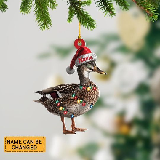 Personalized Waterfowl And Hat Light Christmas Ornament, Waterfowl Christmas Ornament Decor, Gift For Animal Lovers