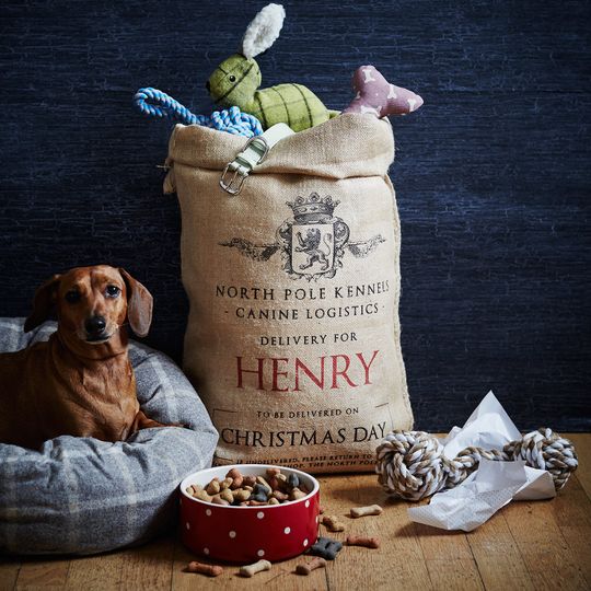 Discover The Jonson Personalised Pet Dog Christmas Sack