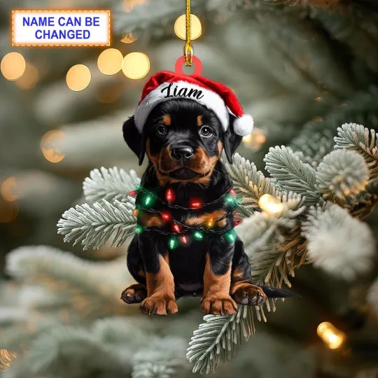 Discover Custom Name Rottweiler Cute Dog With Santa Hat Christmas Lights