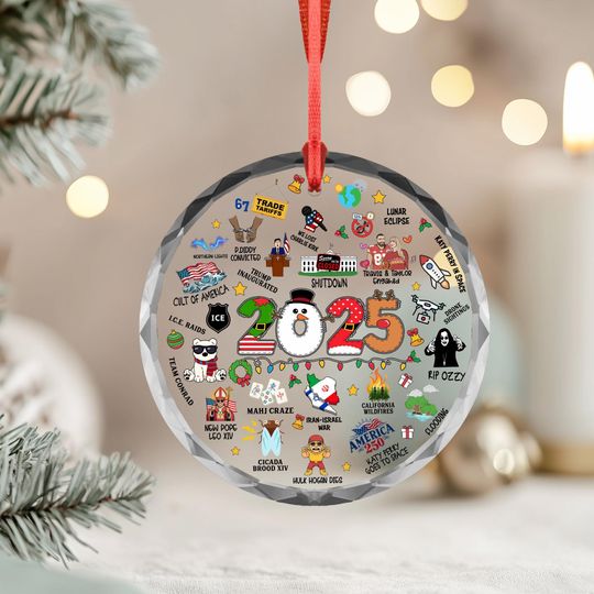 2025 Year in Review Christmas Glass Ornament, Funny Political Christmas Tree Decor, Xmas Gift
