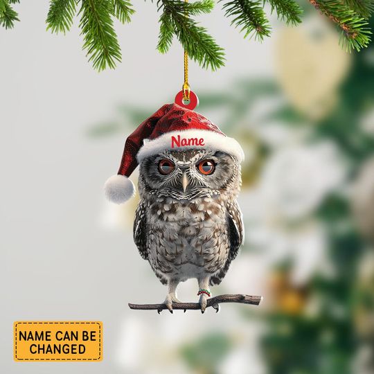 Discover Personalized Owl And Hat Light Christmas Ornament, Owl Christmas Ornament Decor, Gift For Animal Lovers